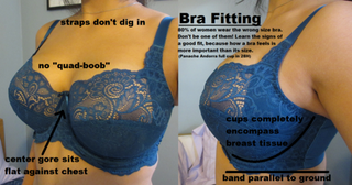 Illustration for article titled Bra Company May Finally Have Your Boobs Figured Out